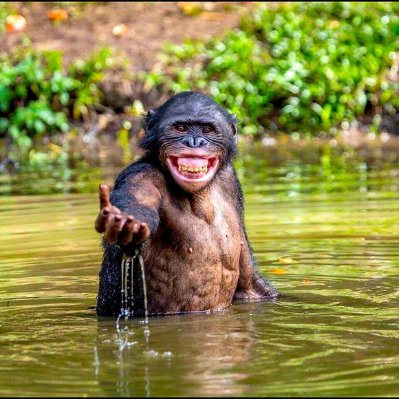 .... - Picture 1 of 1